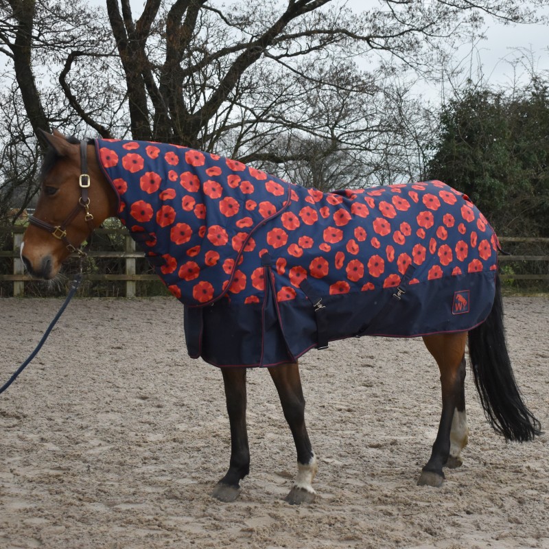 R423- Isla 200g Combo Turnout Rug with Fully Detachable Hood